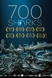 Фильм 700 акул смотреть онлайн — постер