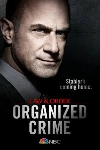 Сериал Закон и порядок: Организованная преступность смотреть онлайн — постер