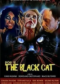 Чёрный кот смотреть онлайн — постер