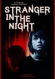 Фильм Незнакомец в ночи смотреть онлайн — постер