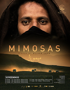 Фильм Мимозы смотреть онлайн — постер