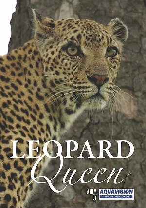Фильм Королева леопардов смотреть онлайн — постер