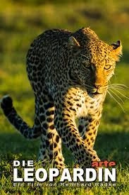 Сериал Королева леопардов смотреть онлайн — постер