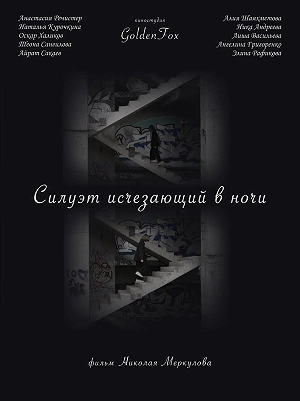 Фильм Силуэт, исчезающий в ночи смотреть онлайн — постер