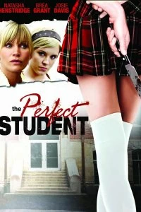 Фильм Идеальный студент смотреть онлайн — постер