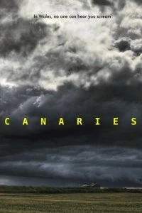Фильм Канарейки смотреть онлайн — постер