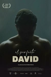 Фильм Идеальный Давид смотреть онлайн — постер