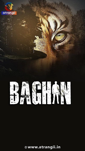 Сериал Багин смотреть онлайн — постер