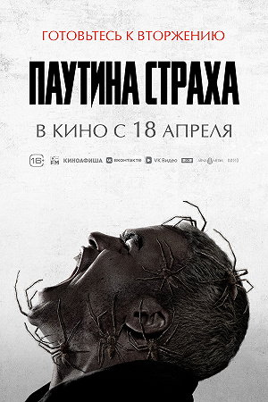 Фильм Паутина страха смотреть онлайн — постер